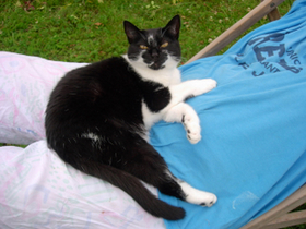 Cosette, manoir                                de Huchepie