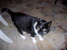 Cosette, 
                                manoir de Huchepie